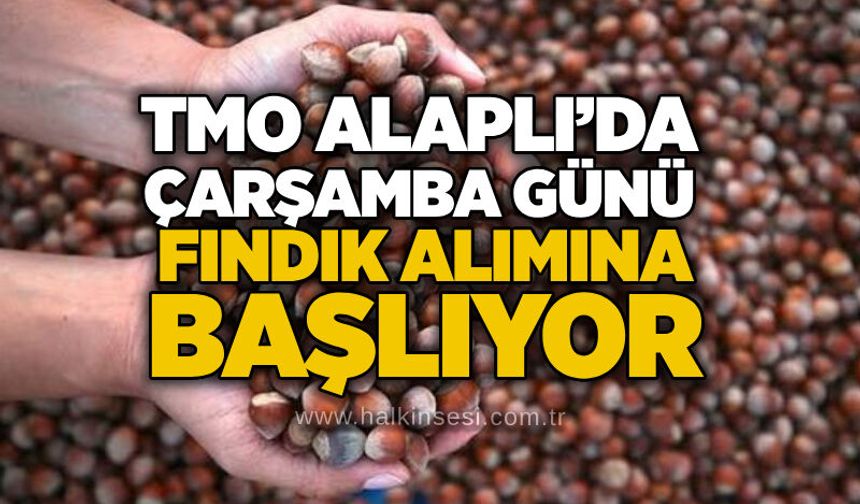TMO Alaplı’da Çarşamba günü fındık alımına başlıyor