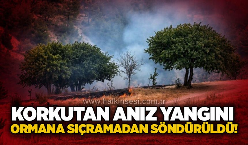 Korkutan anız yangını: Ormana sıçramadan söndürüldü!