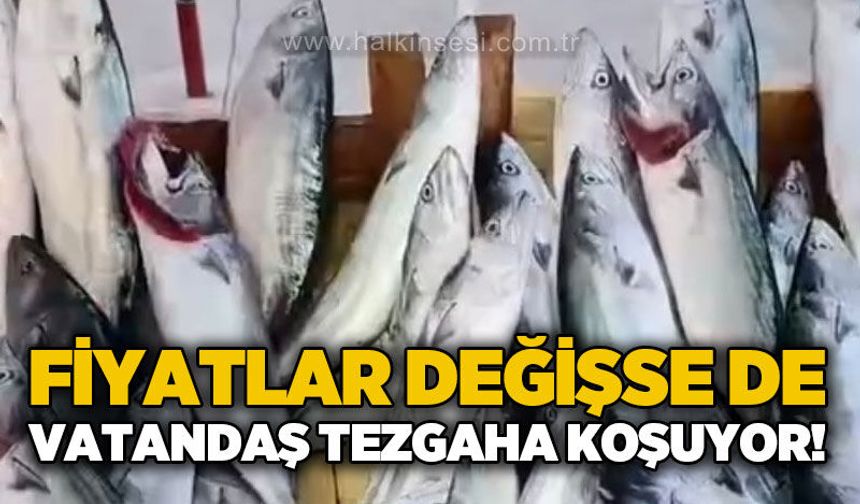Fiyatı değişse de vatandaş tezgaha koşuyor
