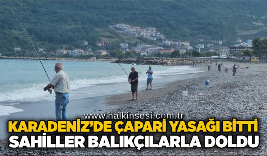 Karadeniz’de çapari yasağı bitti, sahiller balıkçılarla doldu