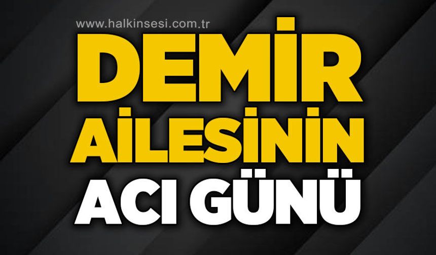 Mehmet Demir hayatını kaybetti