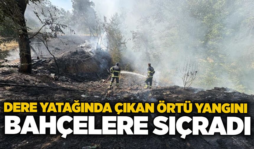 Dere yatağında çıkan örtü yangını bahçelere sıçradı