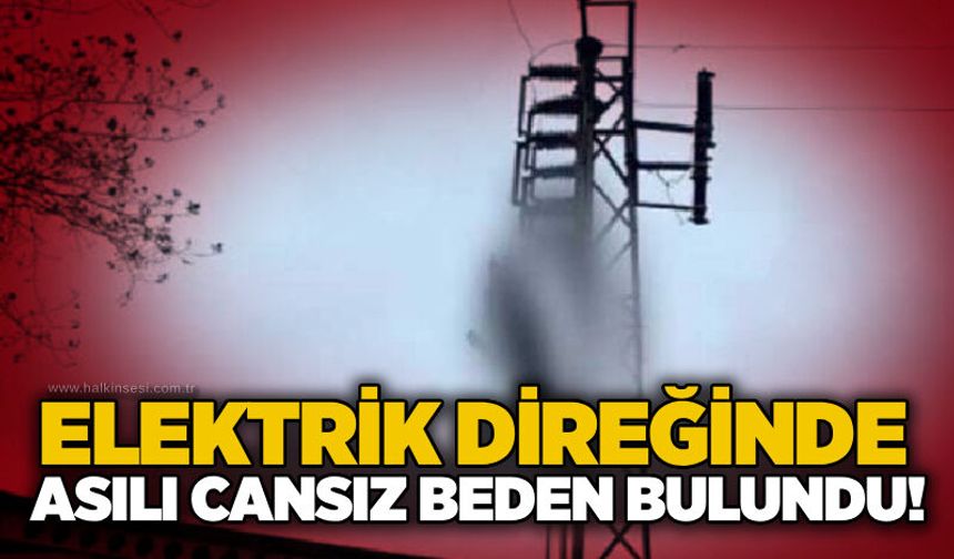 Elektrik direğinde asılı cansız beden bulundu!