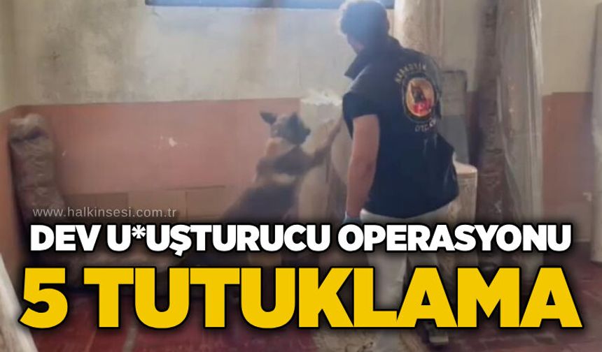 Dev uyuşturucu operasyonu: 5 tutuklama