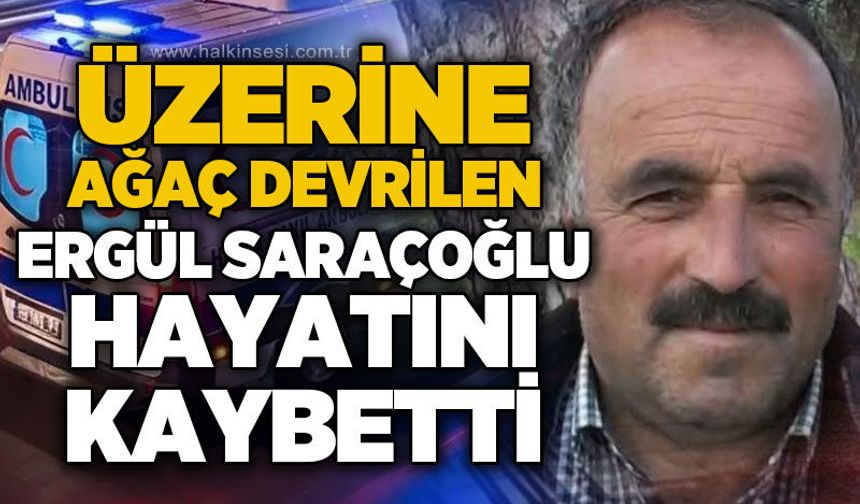 Üzerine ağaç devrilen Ergül Saraçoğlu hayatını kaybetti