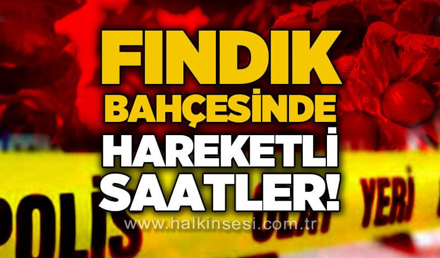 Fındık bahçesine şüpheli cisim düştü: İHA ihtimali araştırılıyor