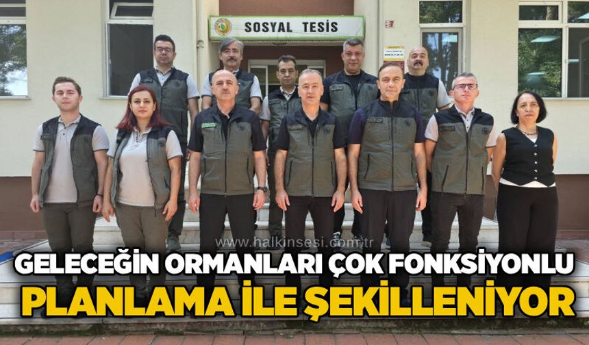 Geleceğin ormanları çok fonksiyonlu planlama ile şekilleniyor
