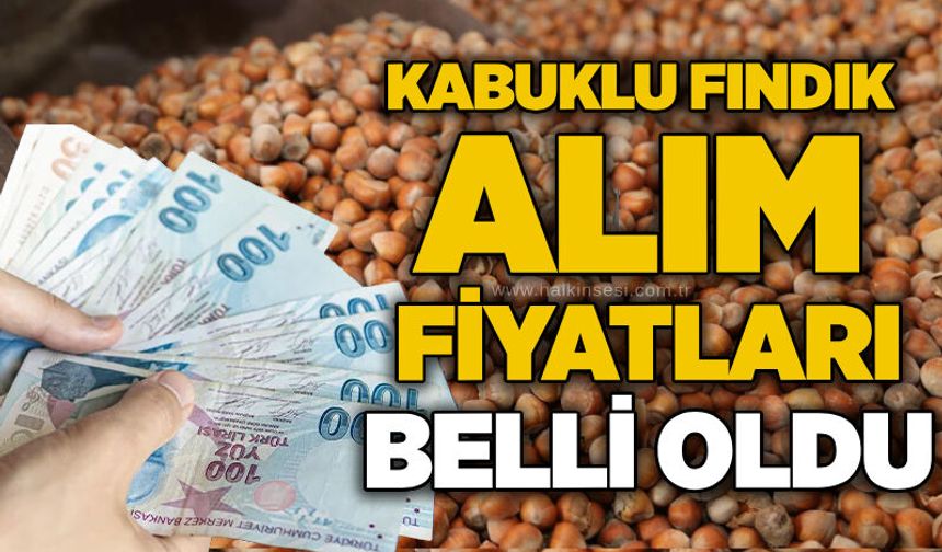 Kabuklu fındık alım fiyatları belli oldu