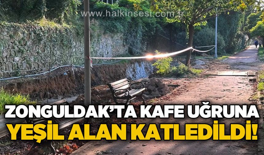 Cafe uğruna yeşil alan katledildi