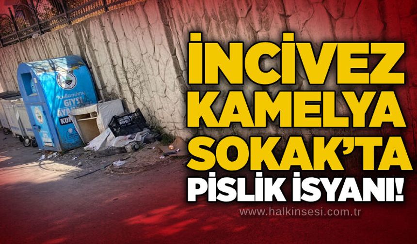 İncivez Kamelya Sokak’ta pislik isyanı!