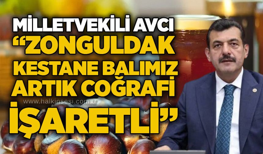 Milletvekili Avcı: “Zonguldak Kestane Balı artık coğrafi işaretli”