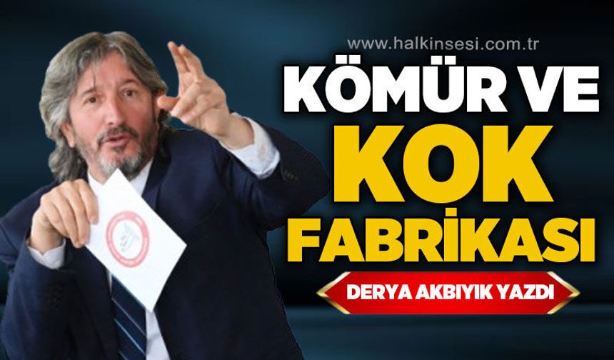 Kömür ve kok fabrikası