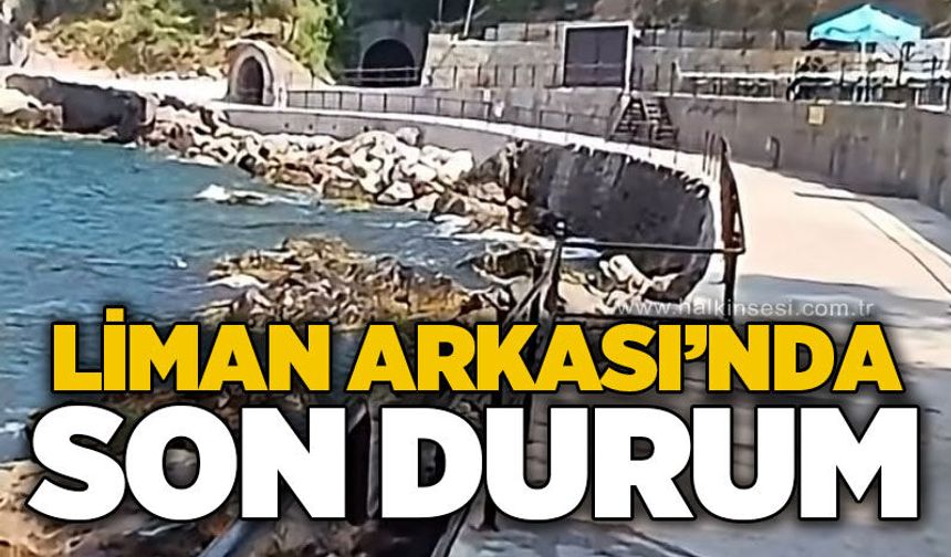Zonguldak Liman Arkası'nda son durum