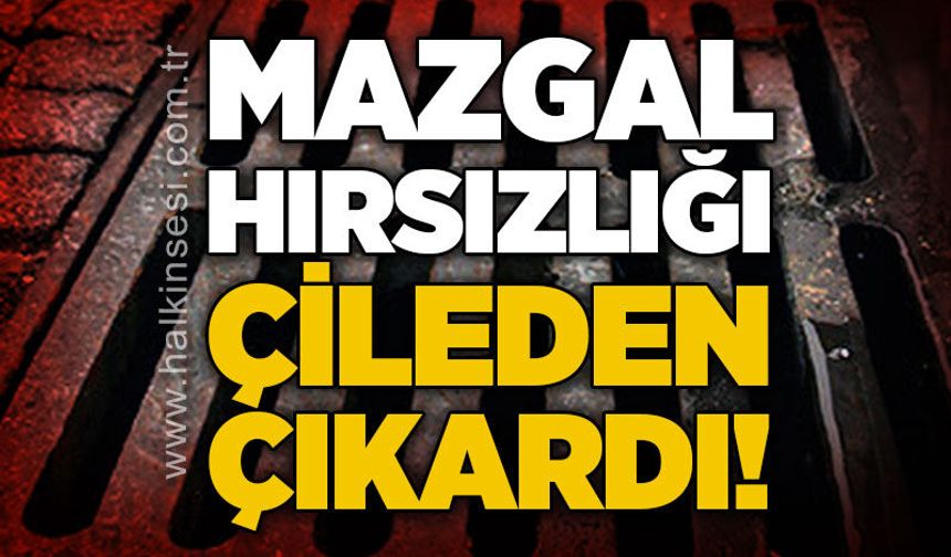 Mazgal hırsızlığı vatandaşı çileden çıkardı