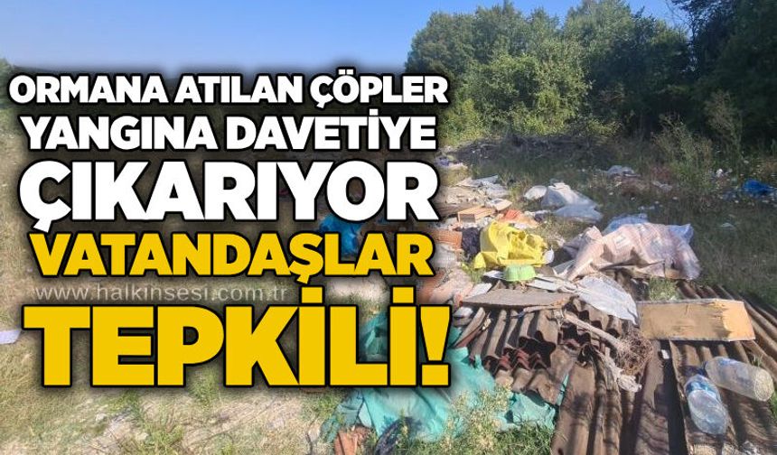 Ormana atılan çöpler yangına davetiye çıkarıyor: Vatandaşlar tepkili!