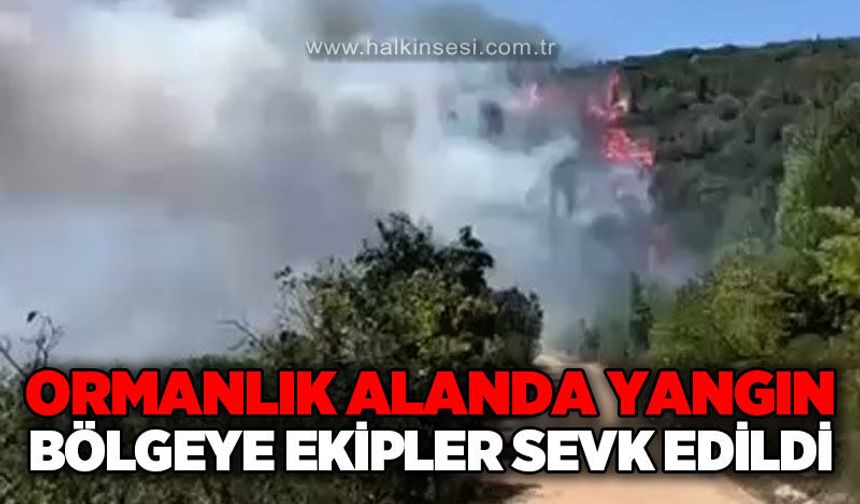 Ormanlık alanda yangın: Bölgeye ekipler sevk edildi