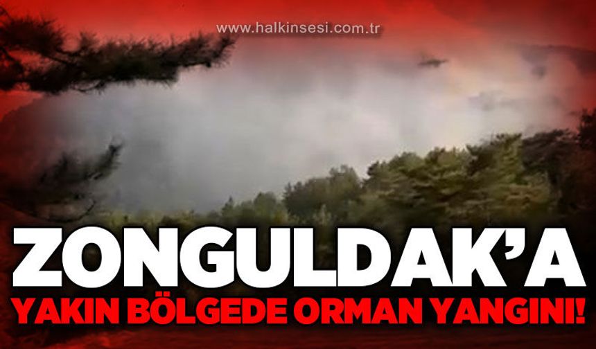 Zonguldak'a yakın bölgede orman yangını!