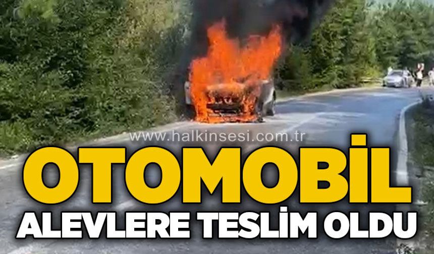 Seyir halindeki otomobil alev alev yandı
