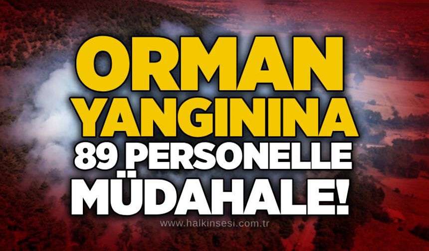 Orman yangınına 89 personelle müdahale!