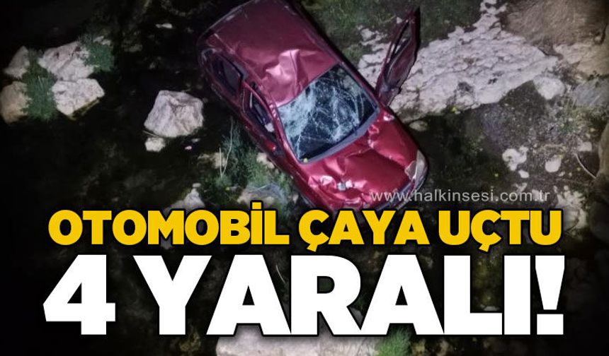 Otomobil çaya uçtu: 4 yaralı