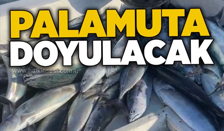 Palamuta doyulacak