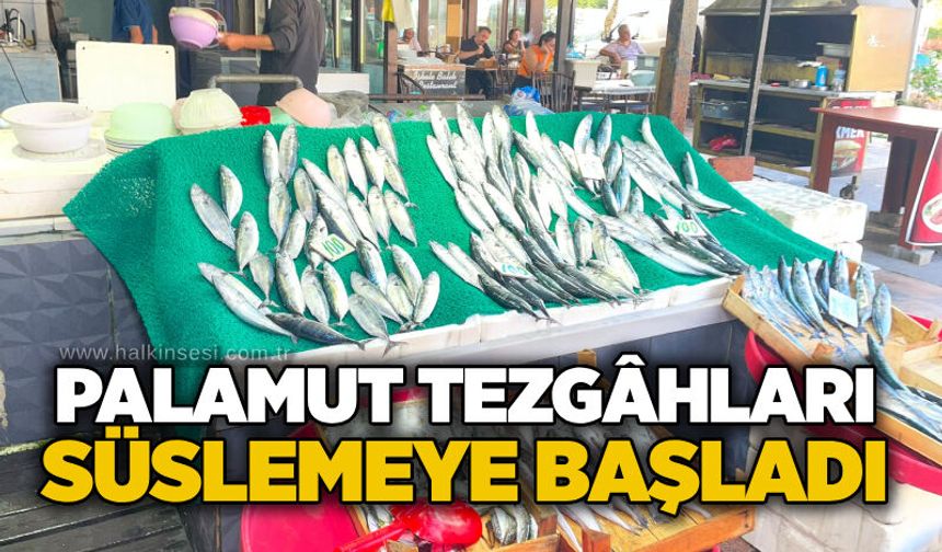 Palamut tezgâhları süslemeye başladı