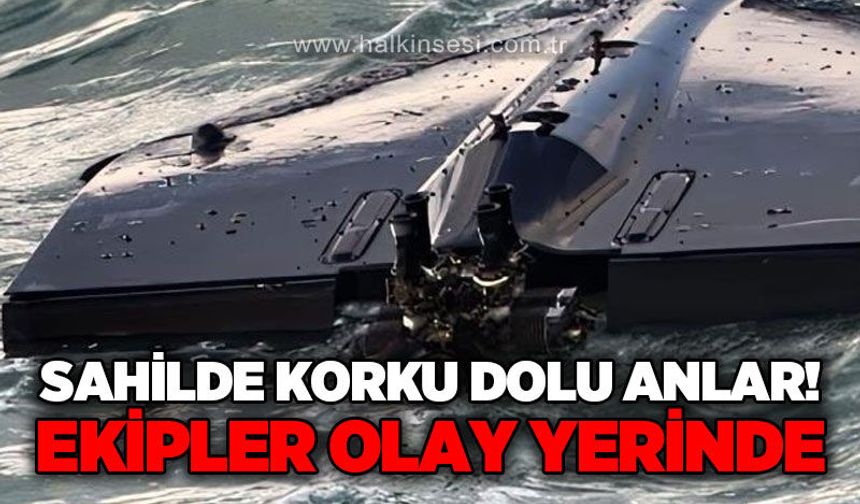 Sahilde panik anları: Ekipler bölgeye sevk edildi