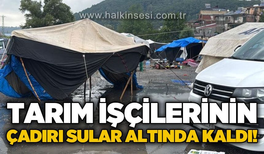 Sağanak yağış mevsimlik tarım işçilerini mağdur etti