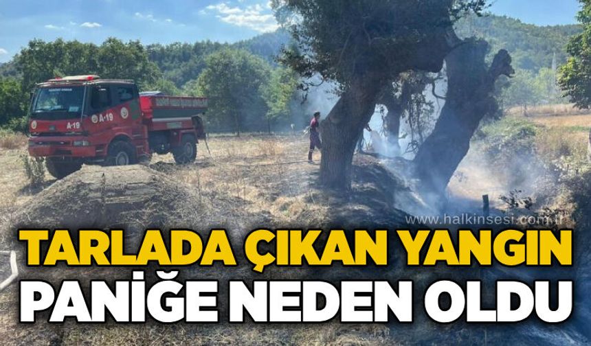 Tarlada çıkan yangın paniğe neden oldu