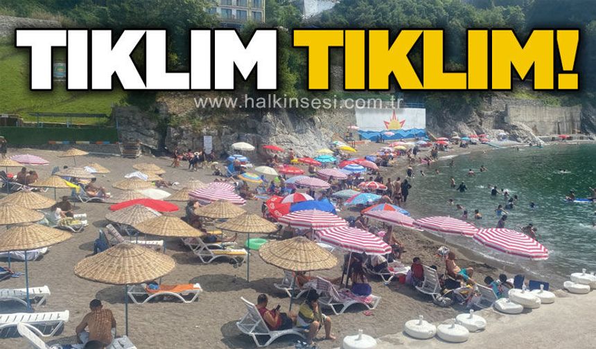 Tıklım tıklım!
