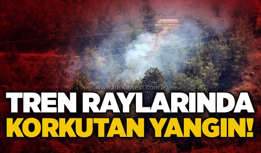 Tren raylarında korkutan yangın!