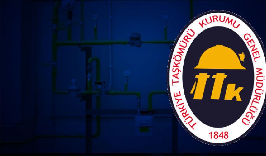 Üzülmez Müessesesi İş Yerlerinin Doğalgaz Dönüşümü İşi