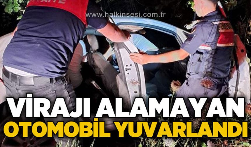 Otomobil virajı alamayarak yoldan çıktı: 1 yaralı
