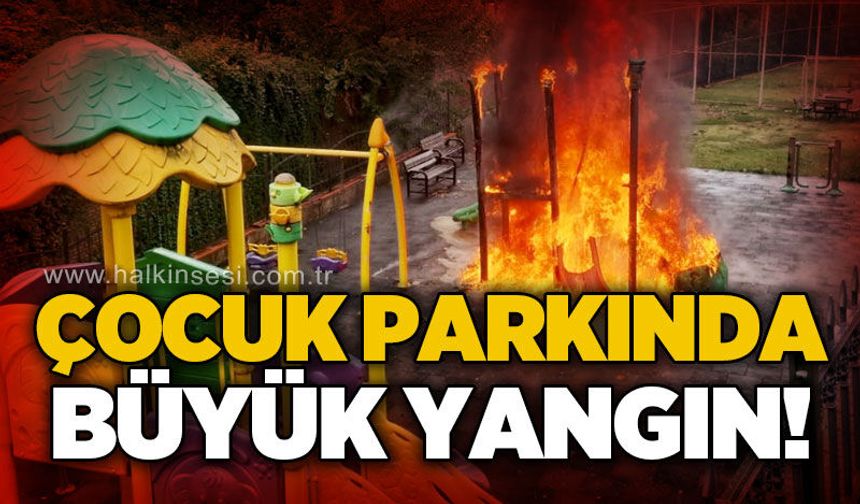 Çocuk parkında büyük yangın!