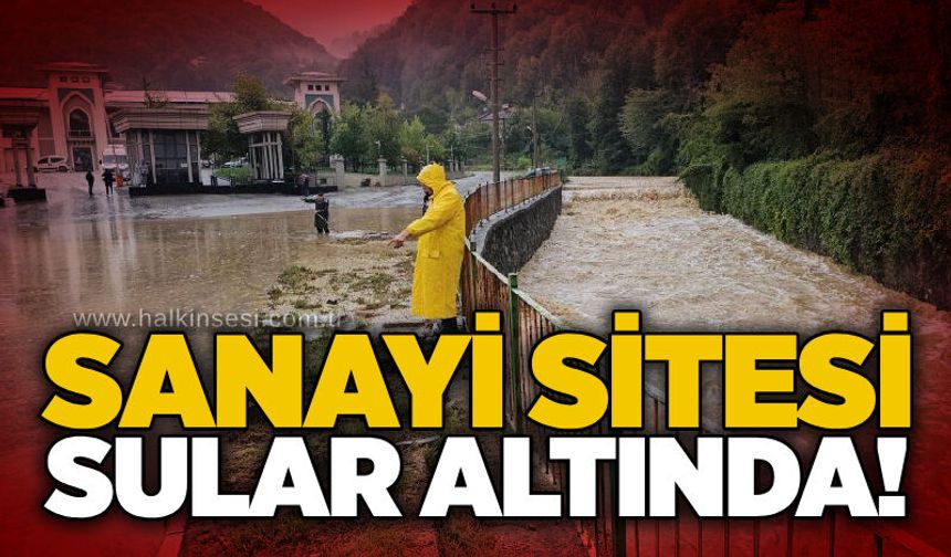 Sanayi sitesi sular altında!