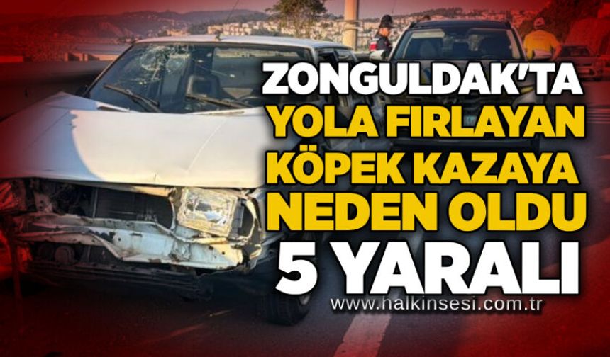 Zonguldak'ta yola fırlayan köpek kazaya neden oldu: 5 yaralı