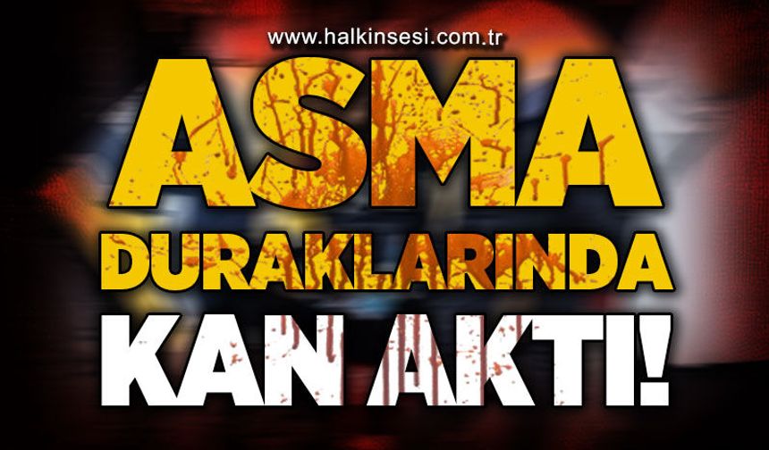 Asma Durakları'nda kan aktı: 1 yaralı