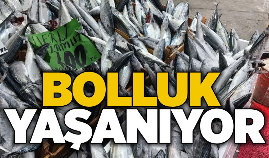 Bolluk yaşanıyor