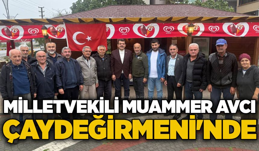 Milletvekili Muammer Avcı Çaydeğirmeni'nde