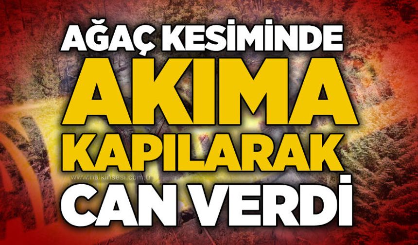 Ağaç kesiminde akıma kapılarak can verdi