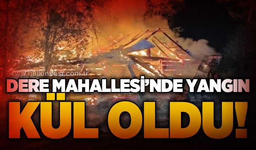 Dere Mahallesi'nde samanlık yangını: Gece alevlerle aydınlandı!