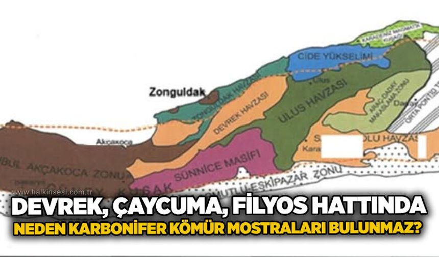 Devrek, Çaycuma, Filyos hattında neden karbonifer kömür mostraları bulunmaz?