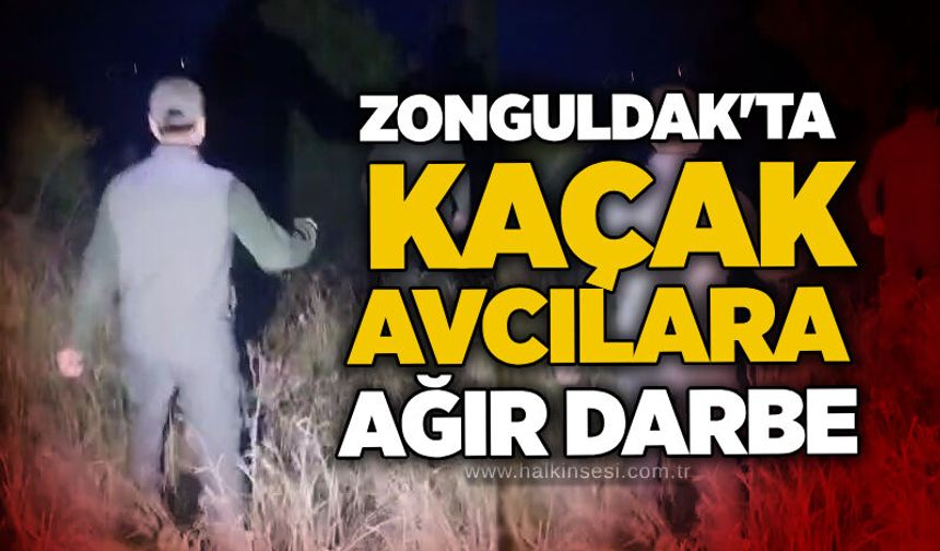 Zonguldak'ta kaçak avcılara ağır darbe