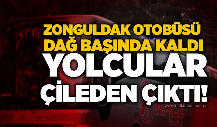 Zonguldak otobüsü dağ başında kaldı: Yolcular çileden çıktı!