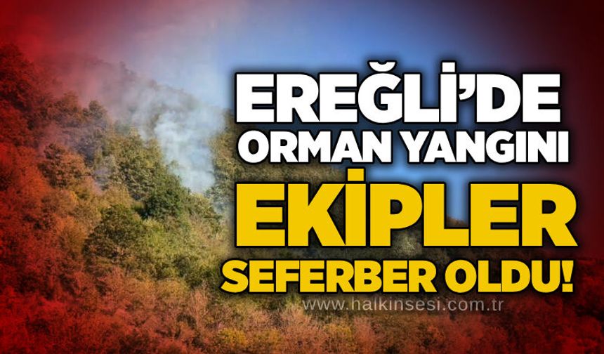 Ereğli’de orman yangını: Ekipler seferber oldu!