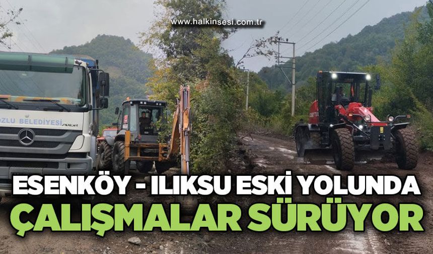 Kozlu’da Esenköyü-Ilıksu eski yolunda çalışmalar sürüyor