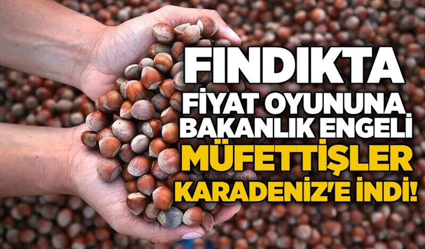 Fındıkta fiyat oyununa bakanlık engeli: Müfettişler Karadeniz'e indi!