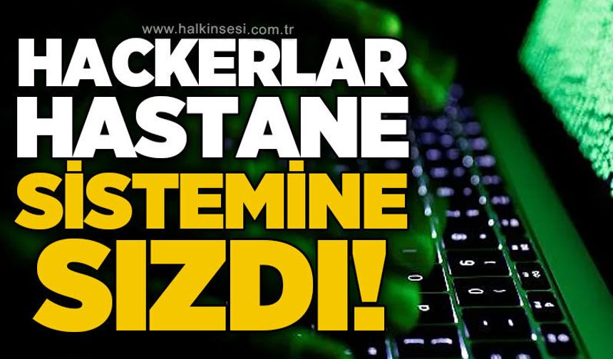Şirketler siber saldırıların hedefinde: Fidye talep ediyorlar