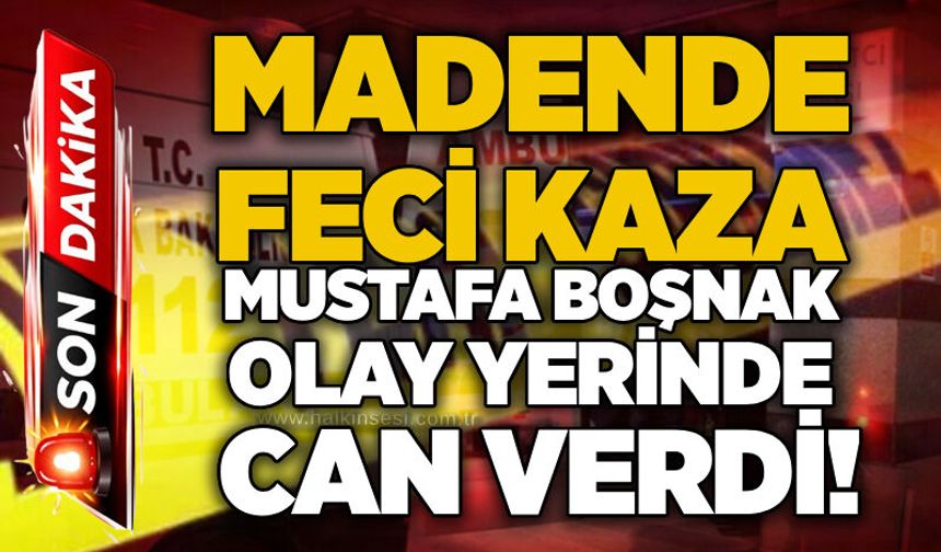Madende feci kaza: Mustafa Boşnak olay yerinde can verdi!