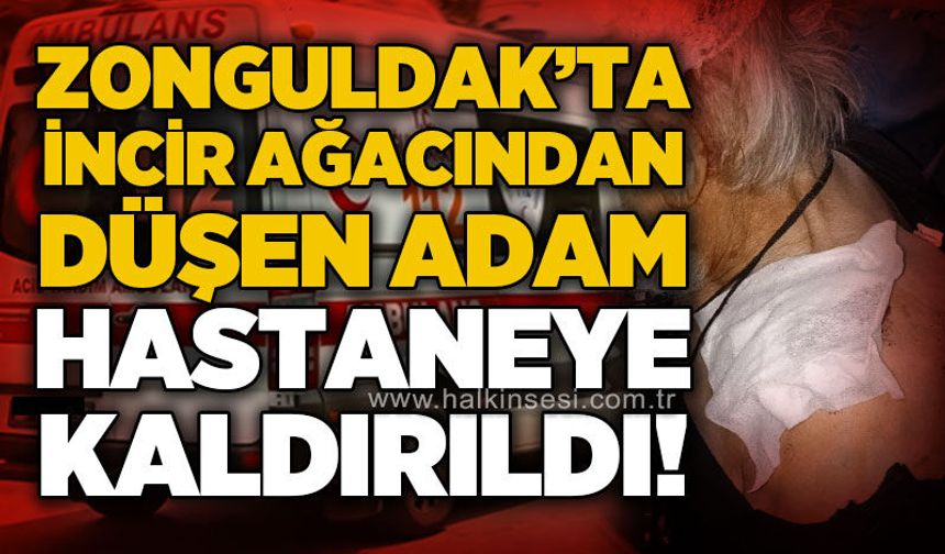 Zonguldak'ta incir ağacından düşen adam hastaneye kaldırıldı